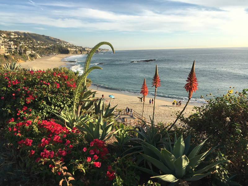 Cover photo of Utopia Property Management | Orange County, CA